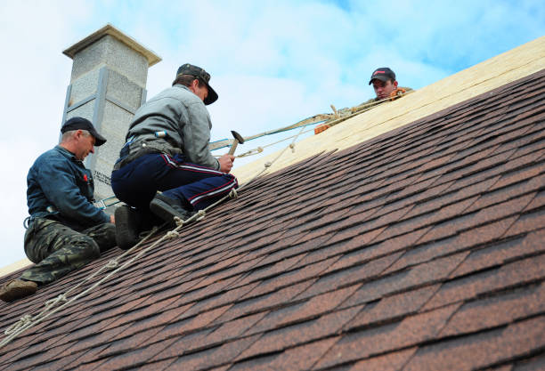 Roof Gutter Cleaning in East Ridge, TN
